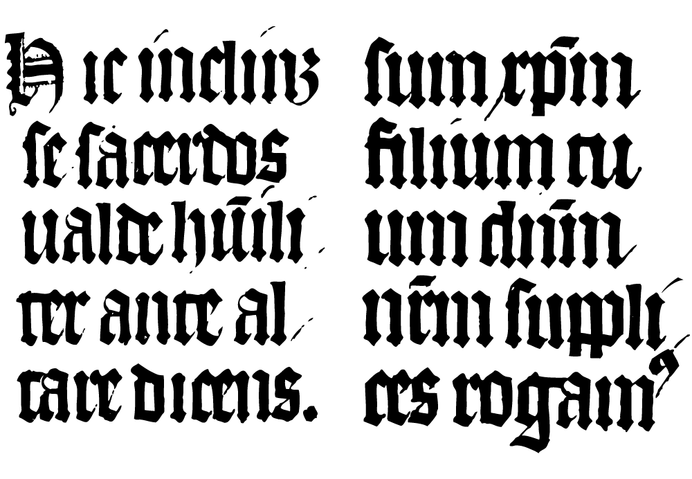 textura calligrafico