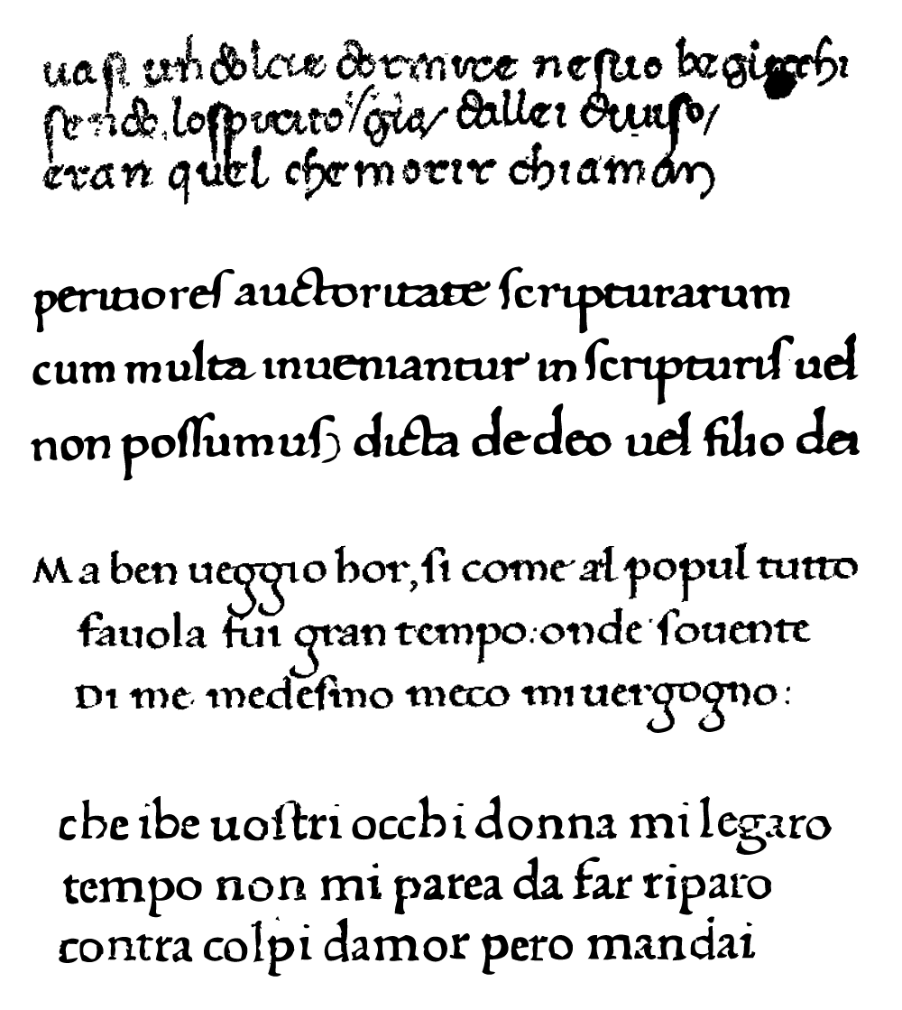 apografi petrarcheschi