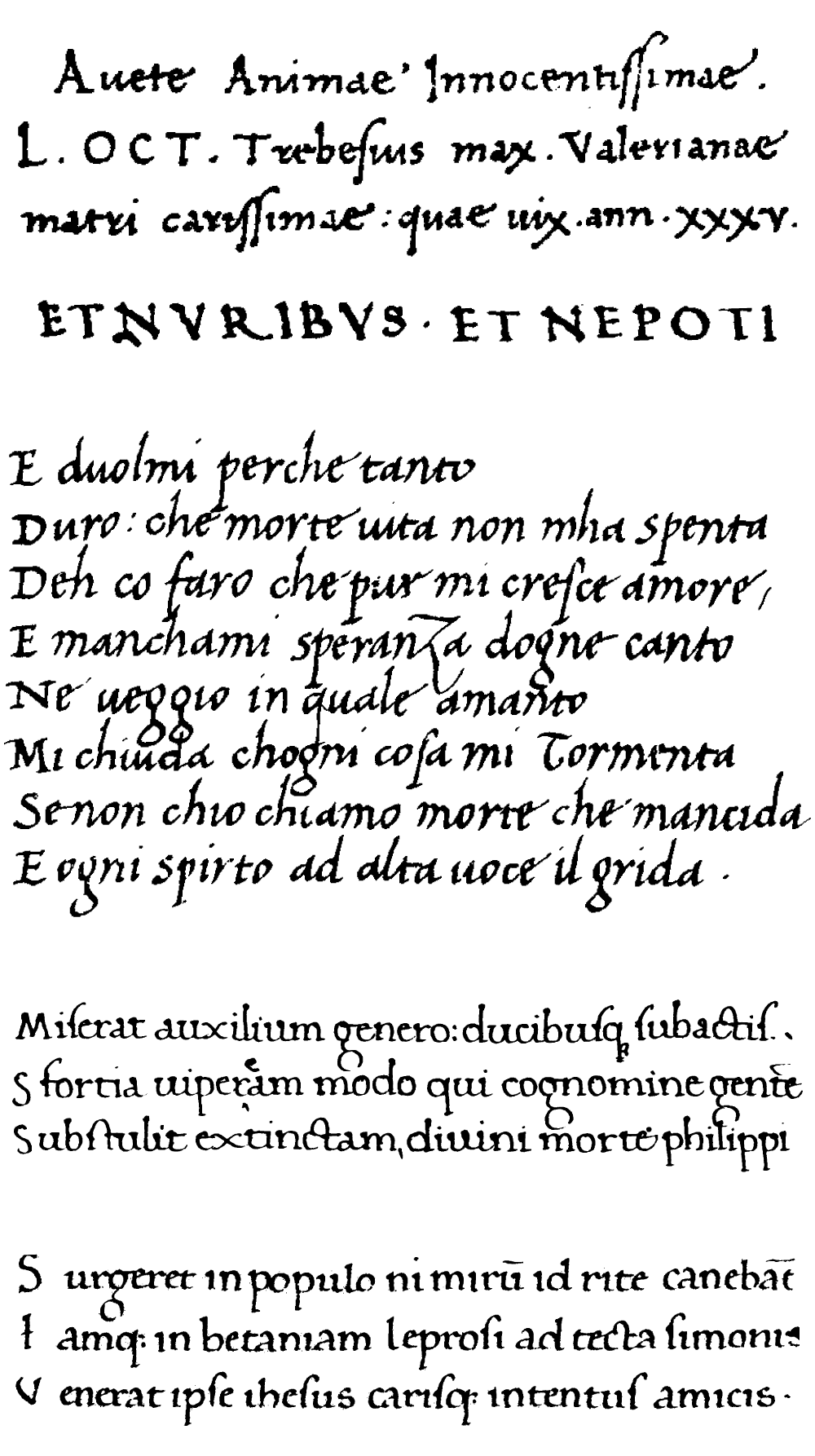 calligrafi rinascimento