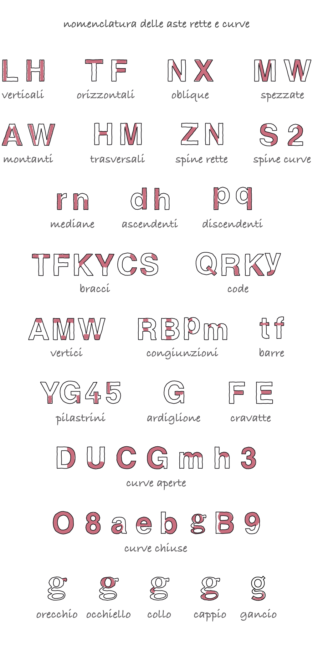 aste: nomenclatura generale